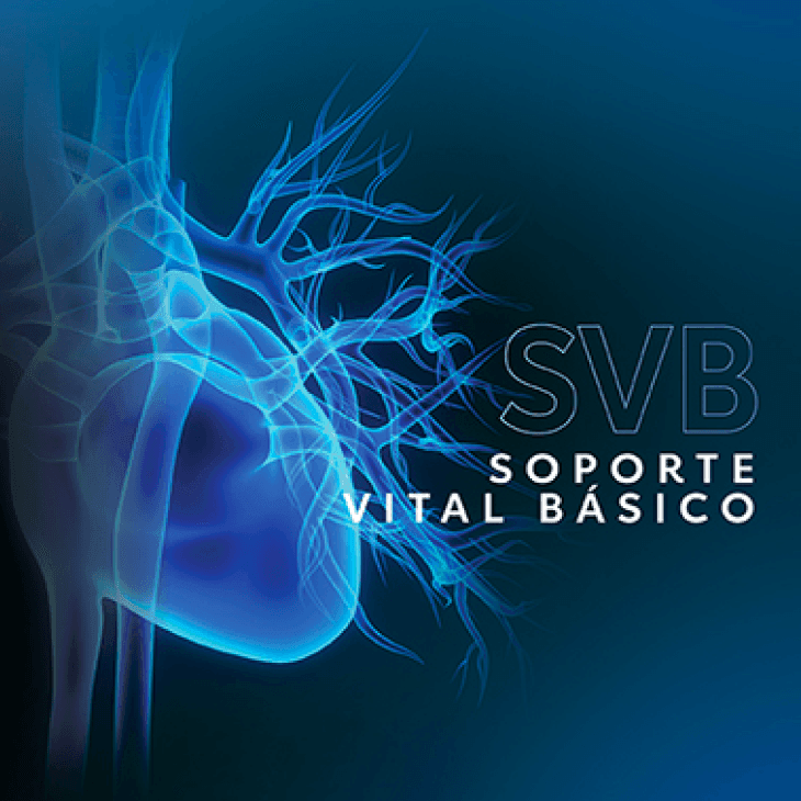 Soporte Vital Básico (SVB)